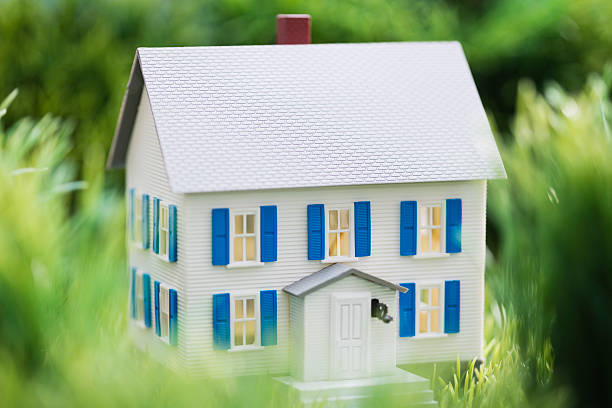 Your Paycheck and Your Debts: How Lenders Decide What You Can Afford
